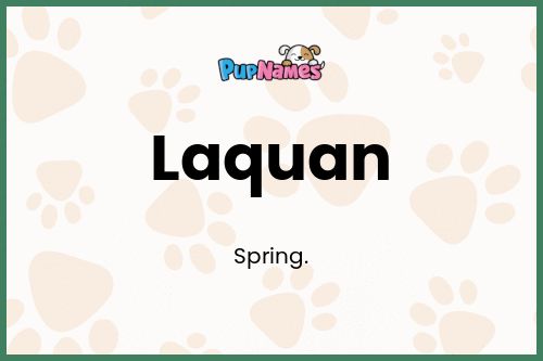 Laquan dog name meaning