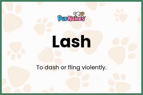 Lash dog name meaning