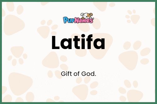 Latifa dog name meaning