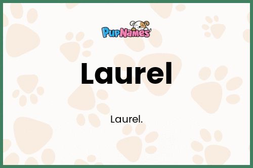 Laurel dog name meaning