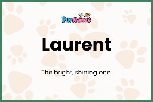 Laurent dog name meaning