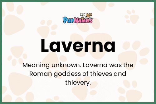 Laverna dog name meaning