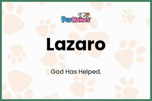 Lazaro dog name meaning