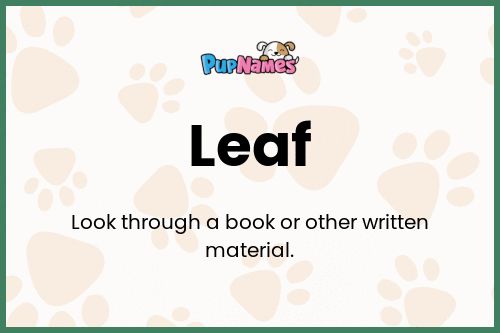 Leaf dog name meaning