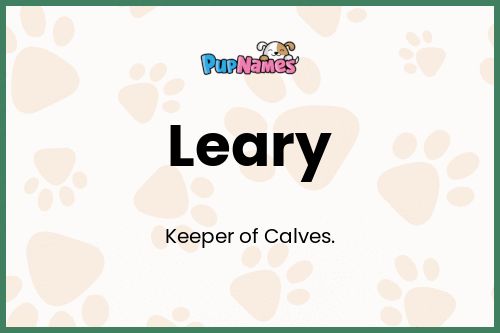 Leary dog name meaning