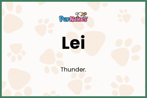 Lei dog name meaning