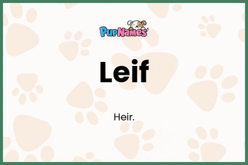 Leif dog name meaning