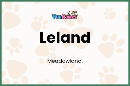 Leland dog name meaning
