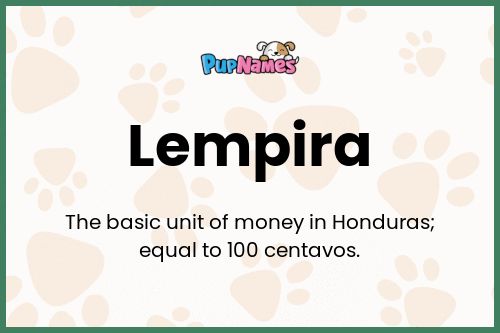 Lempira dog name meaning