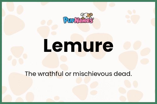 Lemure dog name meaning