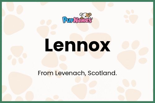 Lennox dog name meaning