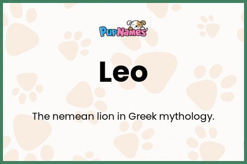 Leo dog name meaning