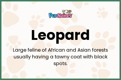 Leopard dog name meaning