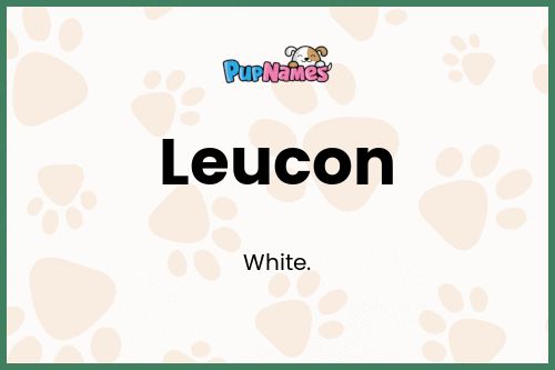 Leucon dog name meaning