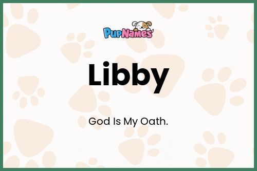 Libby dog name meaning