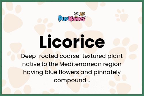 Licorice dog name meaning