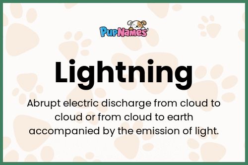 Lightning dog name meaning