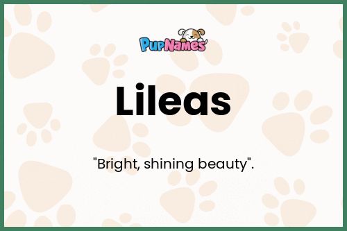 Lileas dog name meaning