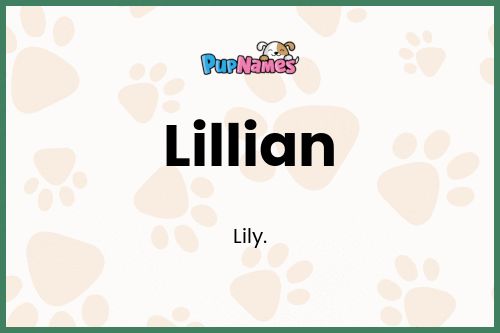 Lillian dog name meaning