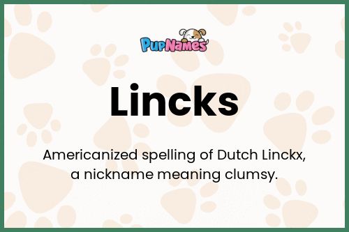 Lincks dog name meaning