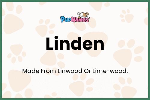 Linden dog name meaning