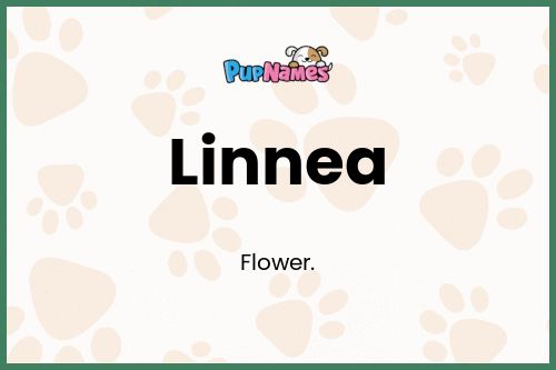 Linnea dog name meaning