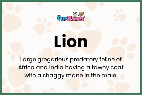 Lion dog name meaning