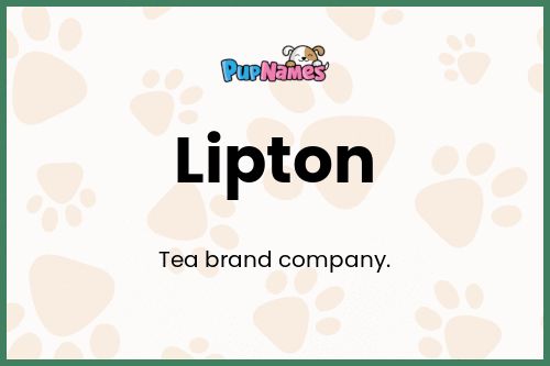 Lipton dog name meaning