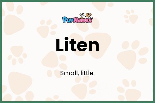 Liten dog name meaning