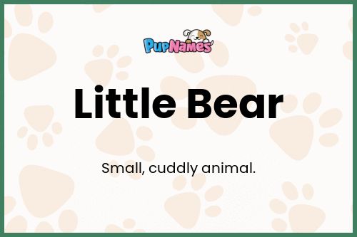 Little Bear dog name meaning