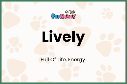 Lively dog name meaning
