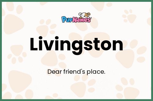 Livingston dog name meaning