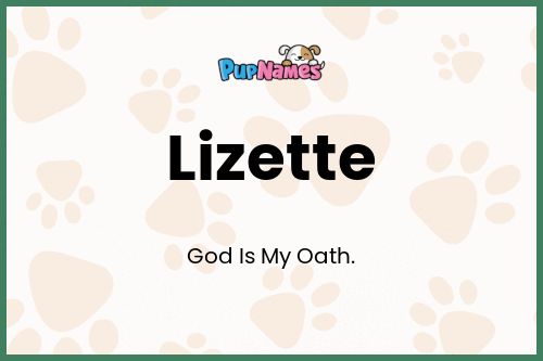 Lizette dog name meaning