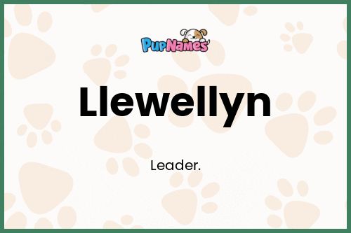 Llewellyn dog name meaning