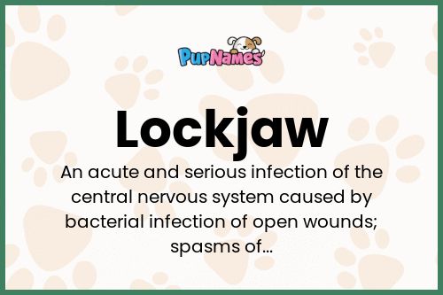 Lockjaw dog name meaning