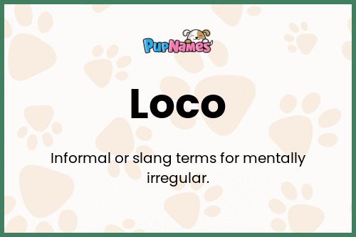 Loco dog name meaning