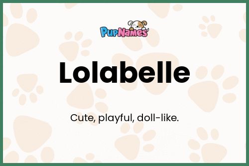 Lolabelle dog name meaning