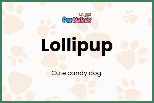 Lollipup dog name meaning