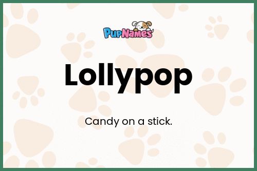 Lollypop dog name meaning