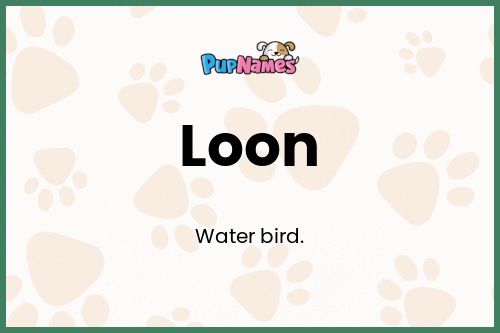 Loon dog name meaning