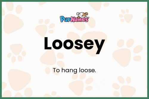 Loosey dog name meaning