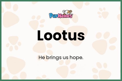 Lootus dog name meaning