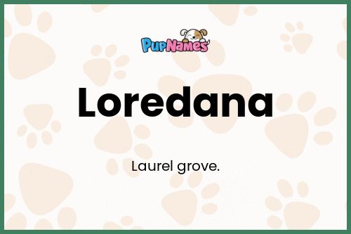 Loredana dog name meaning