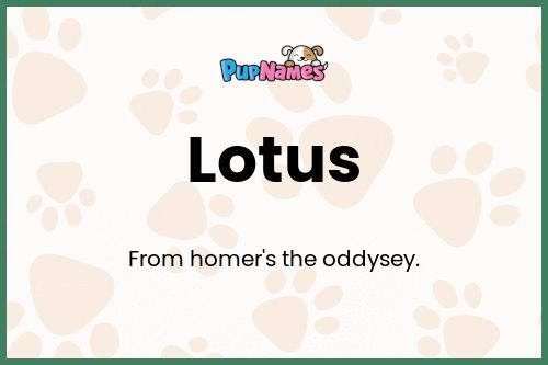 Lotus dog name meaning