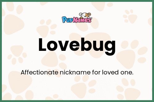 Lovebug dog name meaning