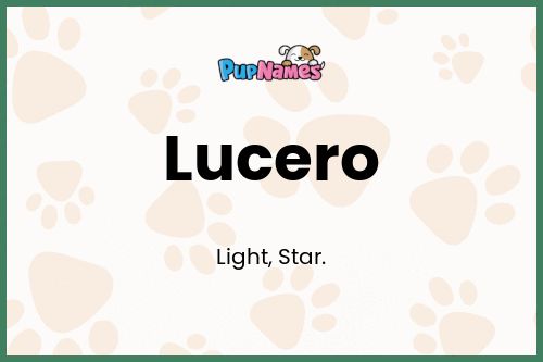 Lucero dog name meaning