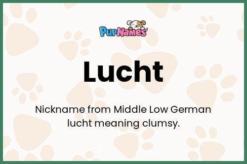 Lucht dog name meaning