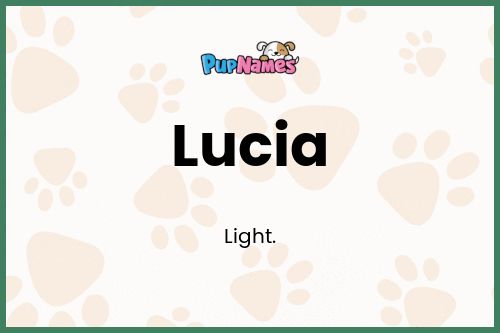 Lucia dog name meaning