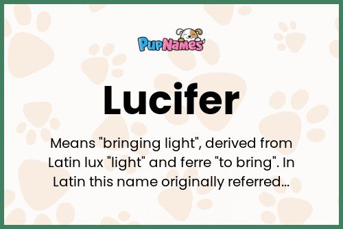 Lucifer Dog Name Meaning Popularity PupNames 