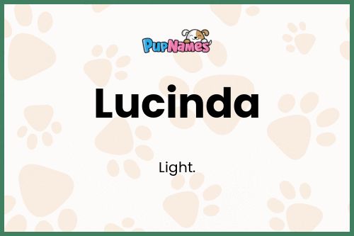 Lucinda dog name meaning